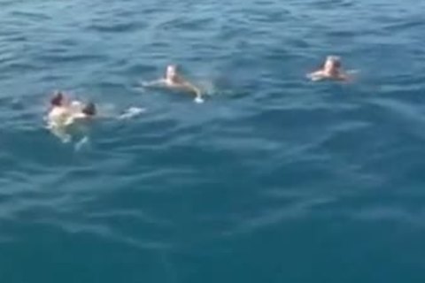 Fick-Yacht