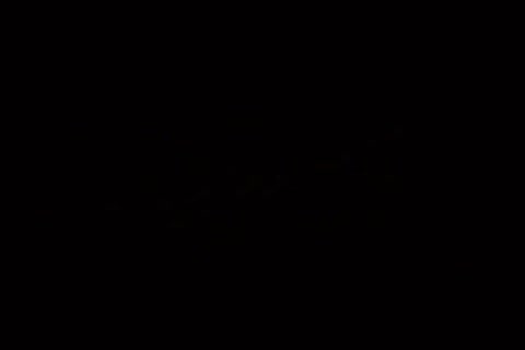 Strokes To Seduction