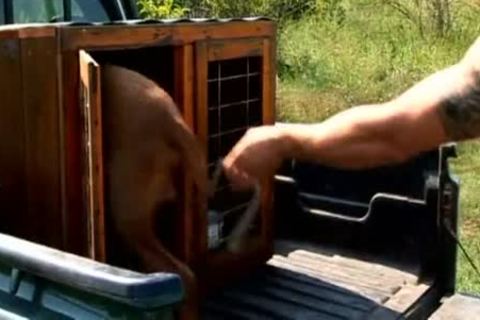 superlatively worthwhile 52