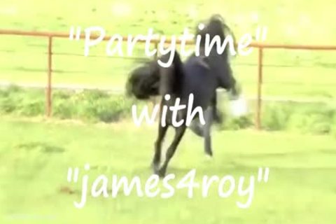 Pupil, tutor, Relationship.