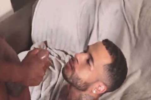 black twink - BB toy