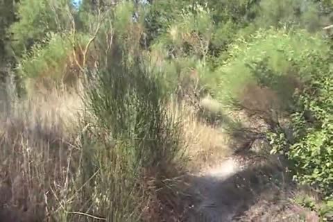 man outside Sounding Urethral dildo 178