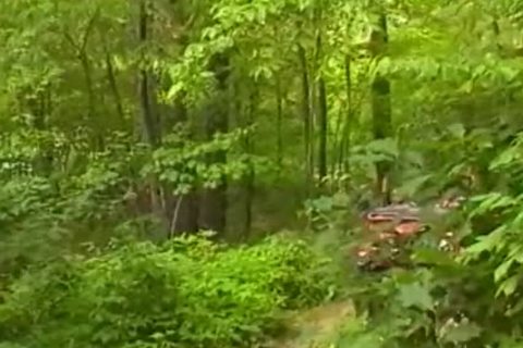 Two handsome studs engulf One another Off In The Woods