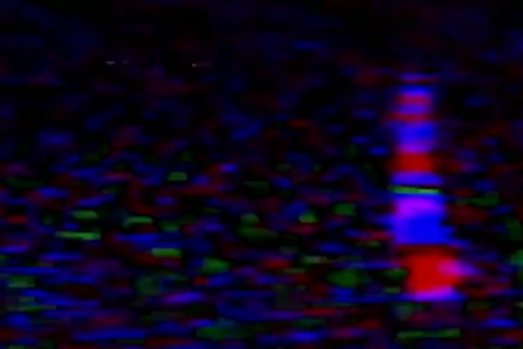 Angry hard ramming beside muscled amateur