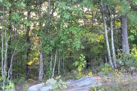 Girlfriend Catches Me jerking off At Camp