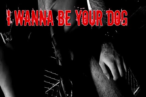 I wanna Be Your Dog