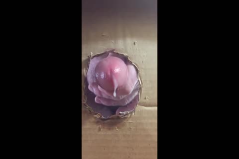 Gloryhole joy Clips Compilation 720 01