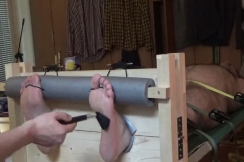 in nature's garb Bear Tickled In Stocks And On A Rack