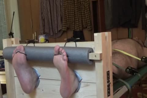 in nature's garb Bear Tickled In Stocks And On A Rack