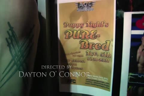 Puppy Night's Pure Bred FULL clip