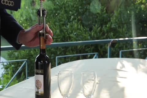 Our First Time After Dinner