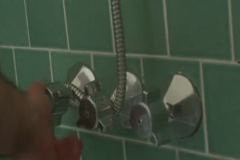 Vanilla Chocolate Bears.