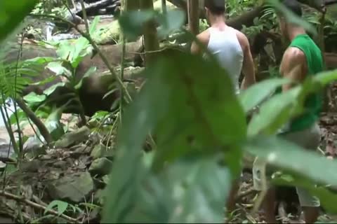 homosexuals Demand Straight boys To Masturbate