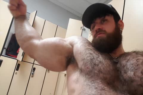 Verbal hairy Muscle Bear