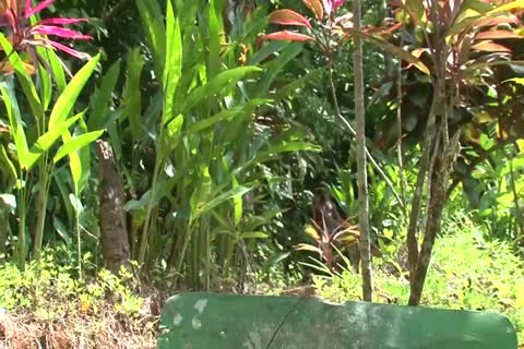 Fernando Torres & Rafael Carreras - toy With Me