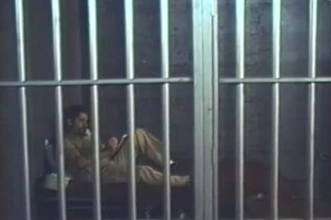 lascivious Bear Prisoners plow And suck