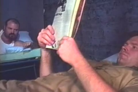 lascivious Bear Prisoners plow And suck