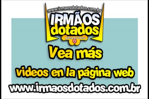 Amigo Borracho