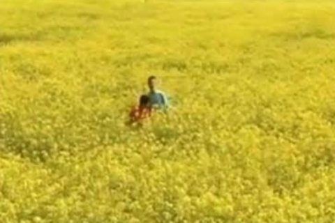 Cherrybois (2). Edited Version.