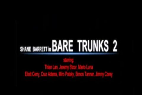 Vimpex - Tainted Twinx - naked Trunks 2.wmv