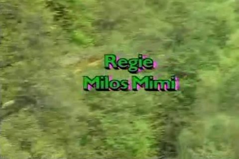 Ferienlager Falkenfels