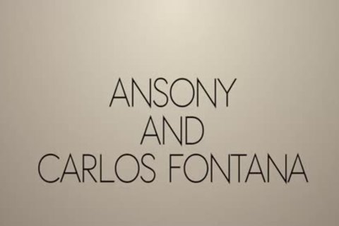 Ansony & Carlos Fontana Fuckin raw