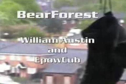 Epow Austin BrForest