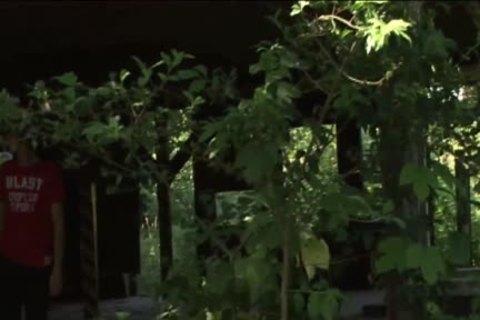 Sommer Of Love -part 3 ,,unedited Version´´ ,,cat1´´
