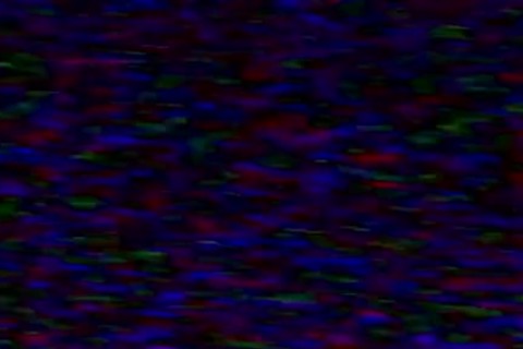 dirty lad Barebacked By hairy Stepdad