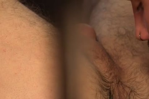 Tomas Salek & Milos Ovcacek