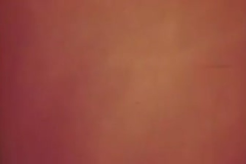 wild Off The Press (1984) Complete movie