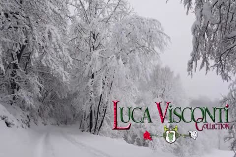 LucaVisconti THE LITTLE SWISS SAILOR