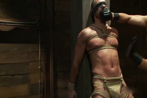 Taskmaster In Training