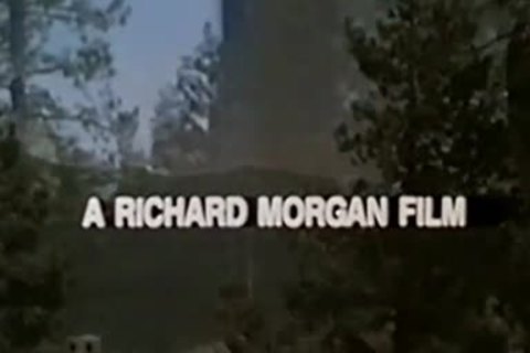 Blondes Do It superlatively wonderful (1985) Part 1