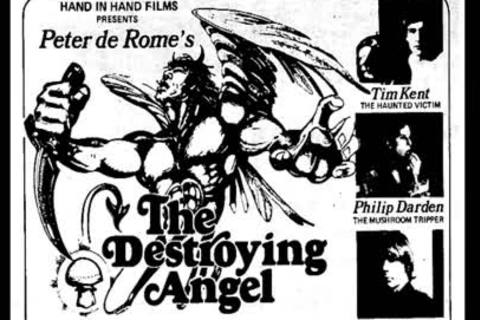The Destroying beauty (1976) Complete movie