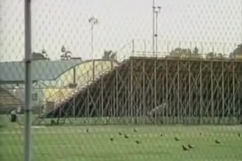 Large Boyz Of Summer (1988) Complete video