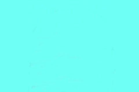 lascivious homosexual guys cant Stop fucking At A video scene Store