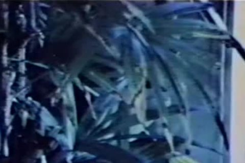 From daddy man's Closet: Vintage Peepshow Loop 232-2