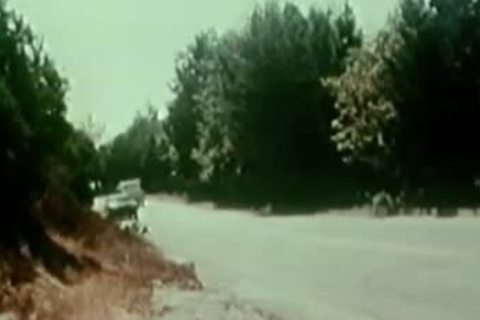 Behind The Greek Door (1975) Part two