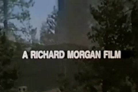 From grandpa's Closet: Blonds Do It superlatively wonderful (1985)