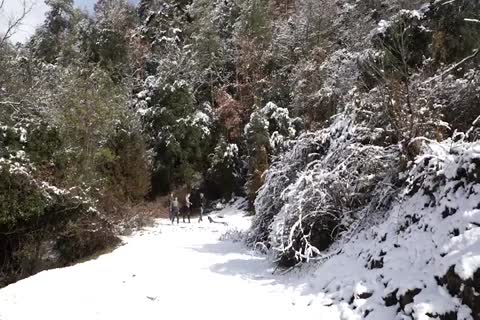 naughty Foursome On A Cold Winter Day