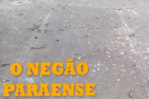 O Negao Pernambucano