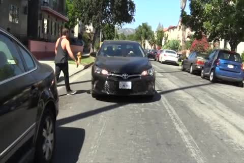 tasty HITCH HIKER WEARS NYLON hose
