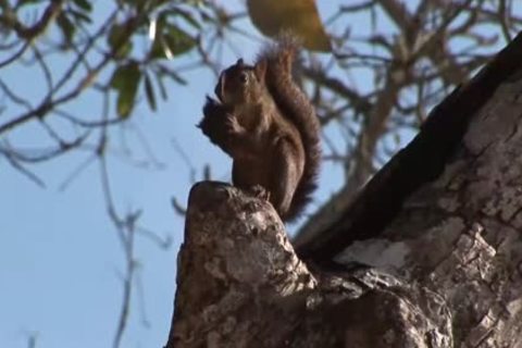 sexy raw bang At The Beach
