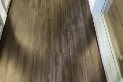 Quarantined Coworkers poke whilst Stuck In Office