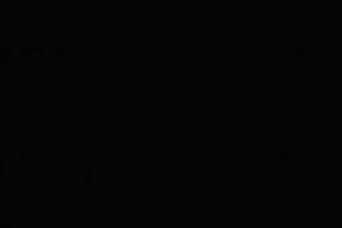 cute Times In Little Havana