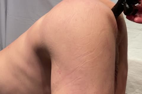 Trainiere Den Arsch Meiner Fickstute Mit Gesichtsbesamung