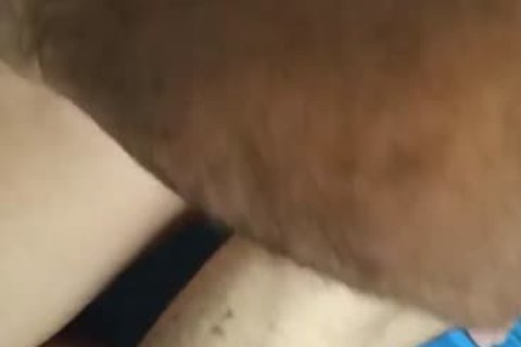 Amateur homemade foursome