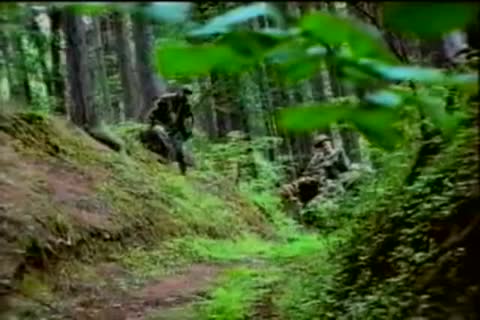 Vintage - Zu Dritt Im Wald