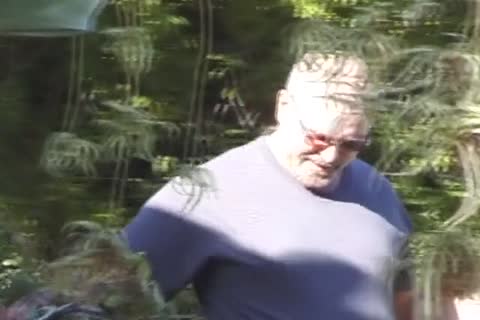 Cyberbears - Backyard Bears